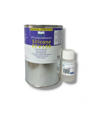 RTV 67 avec Catalyseur 6h